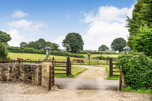 Spring Hall Farm- click for photo gallery